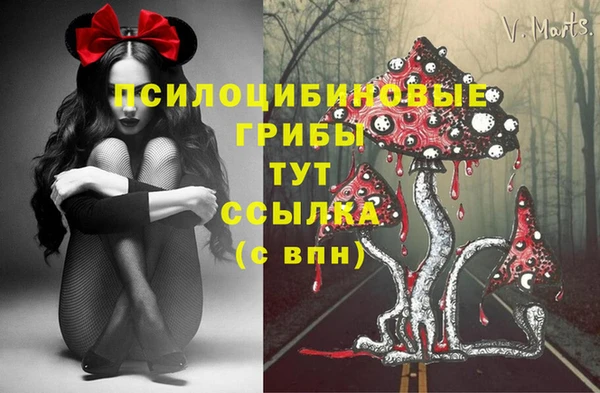 круглые Михайловск