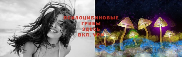 spice Михайлов