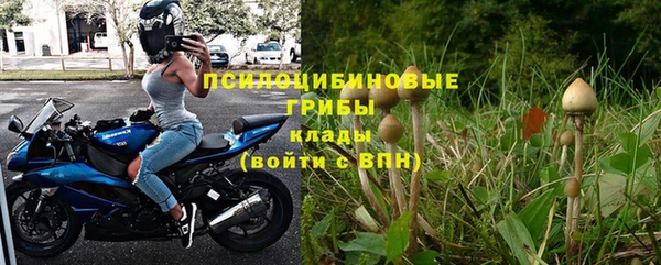 spice Михайлов