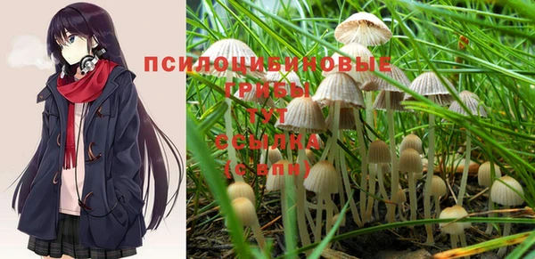 круглые Михайловск