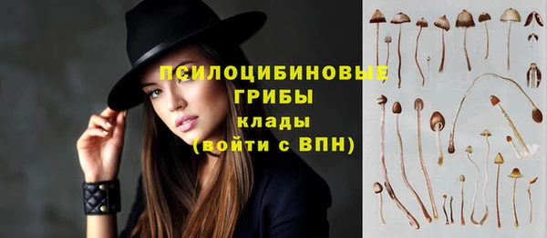 круглые Михайловск