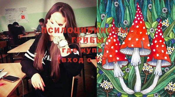 spice Михайлов