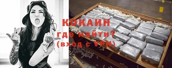 гашик Горняк