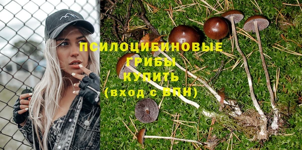 spice Михайлов